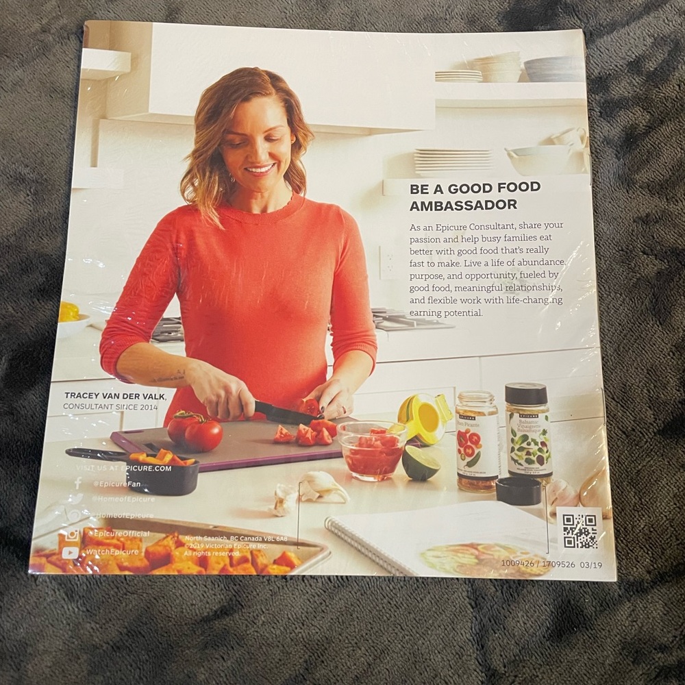 Epicure Representative kit items - Picture 5 of 5